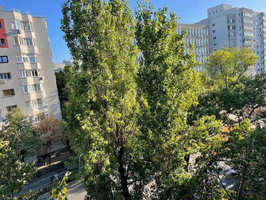 Mav Bucharest Apartment ภายนอก รูปภาพ